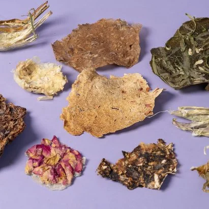 Sustainable Design Innovations from Lucerne University Showcase Creative Adaptation of Plant Waste